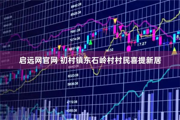 启远网官网 初村镇东石岭村村民喜提新居